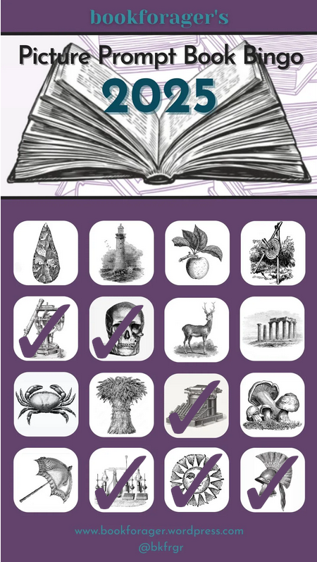 Picture Prompt Book Bingo Challenge for 2025